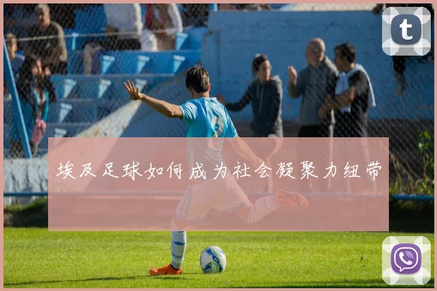 埃及足球如何成为社会凝聚力纽带