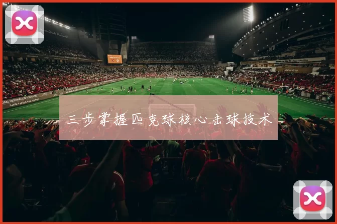 三步掌握匹克球核心击球技术