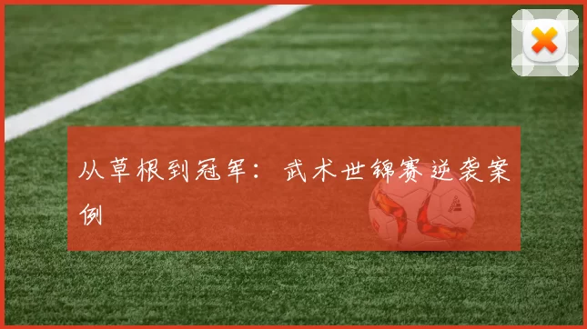 从草根到冠军：武术世锦赛逆袭案例